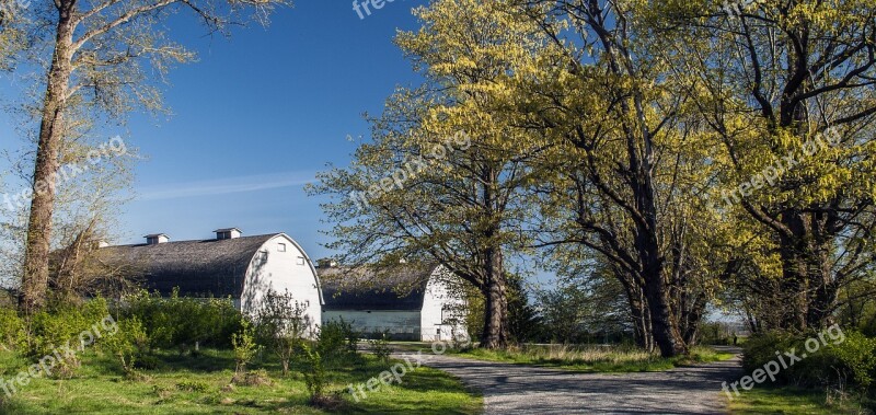 Twin Milking Barns Barns Farm Country Outdoors