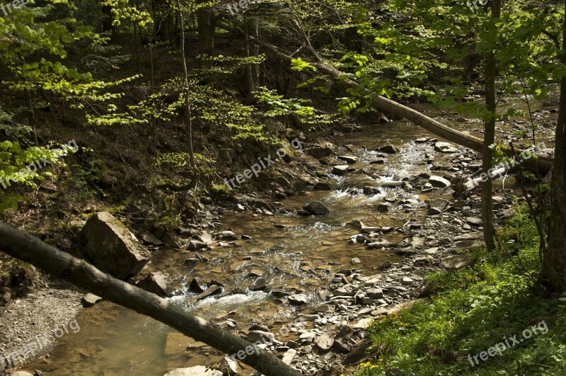 River Nature Bieszczady Landscape Water