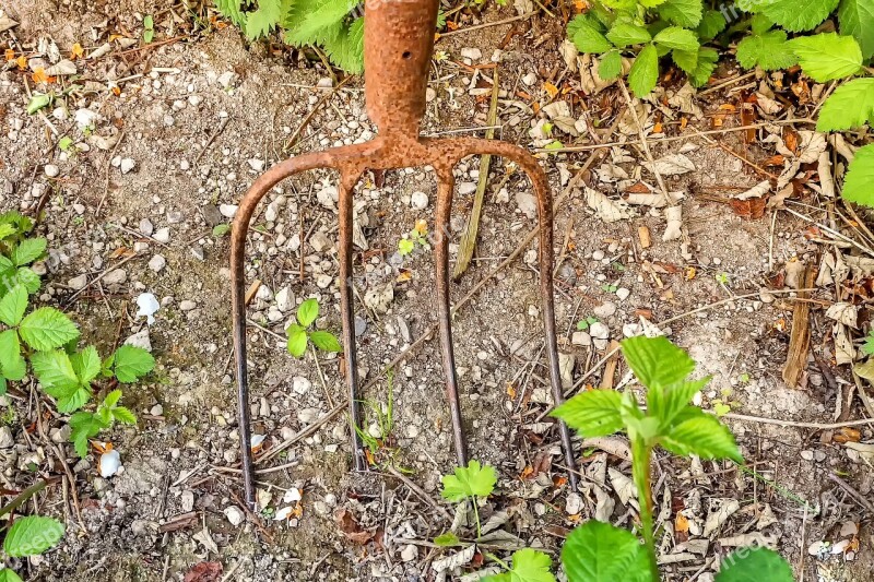 Pitchfork Tine Metal Nature Garden