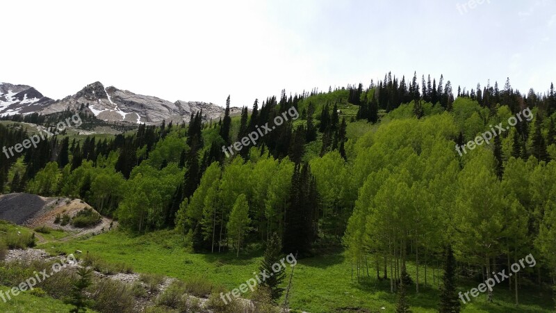 Mountain Trees Tailing Wilderness Outdoor