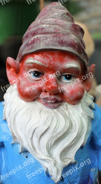 Dwarf Garden Gnome Flowers Dwarf Funny Cute