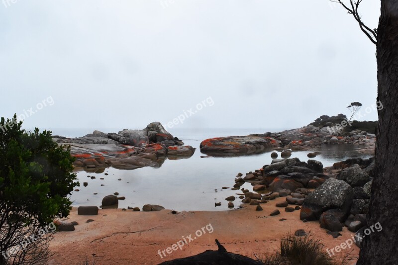 Australia Bay Of Fires Tasmania Beach Coastline