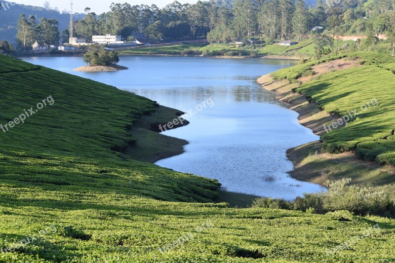 Lake Tea Estate Green Free Photos