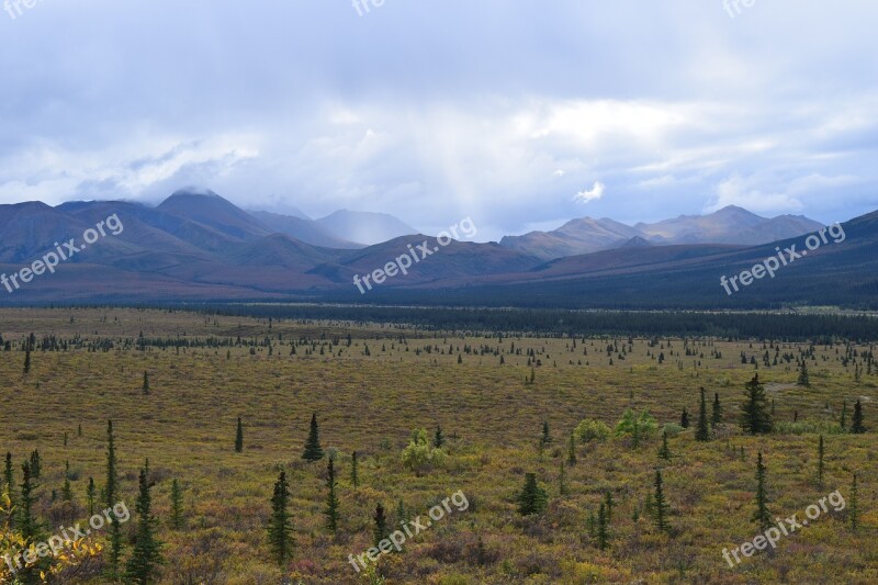 Denali National Park Alaska Teklanika River Valley