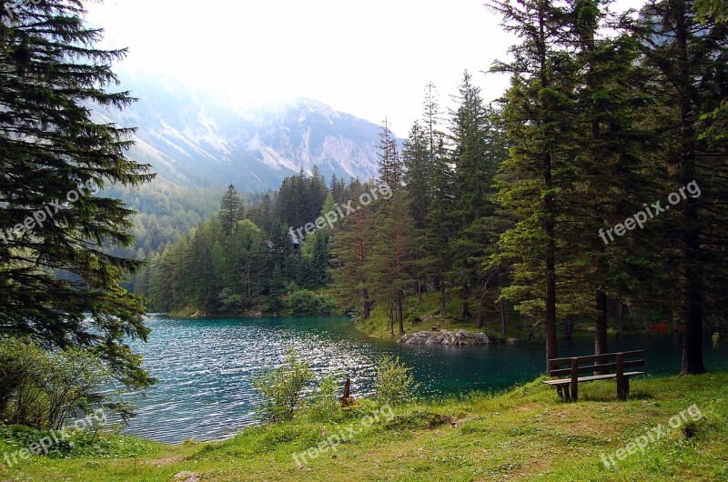 Lake Wood Green Nature Water