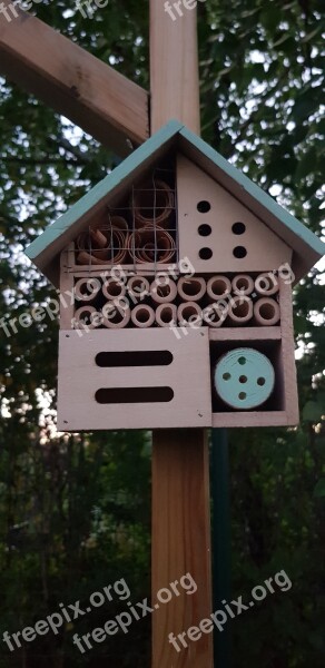 Cottage House For Insects Garden Wooden Cottage Spring