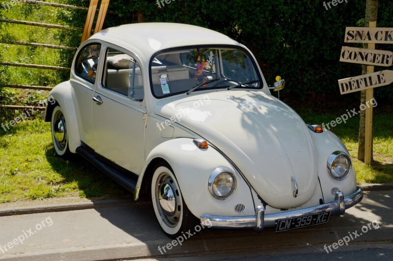 Volkswagen Beetle Car Vintage Former Collection