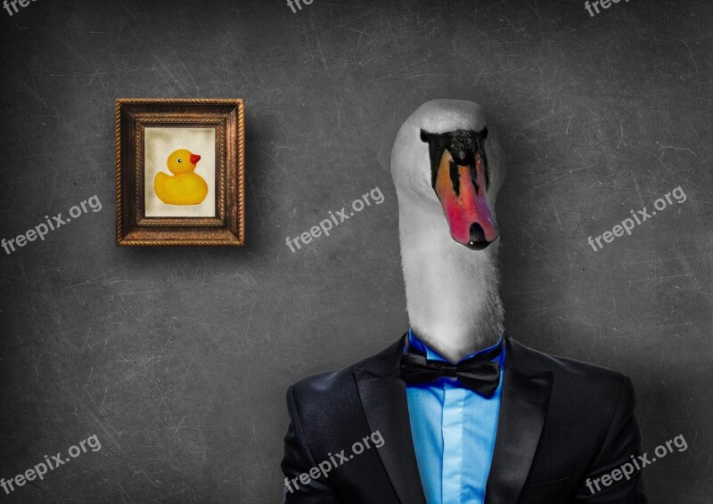 Mr Swan Duck Suit Photoshop