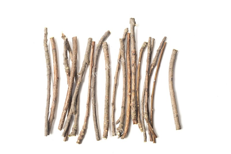 Ayurveda Ayurveda Herbs Beauty Branch Chew