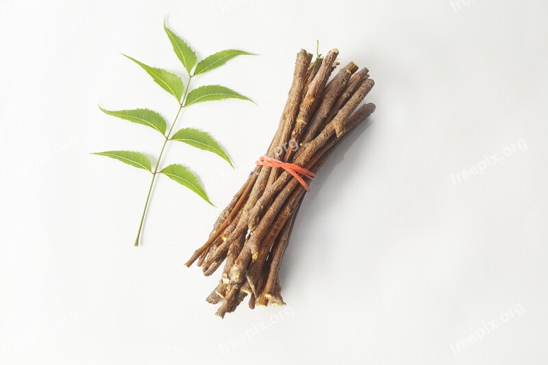 Ayurveda Ayurveda Herbs Beauty Branch Chew