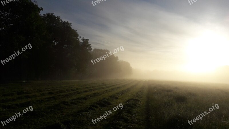 Hay Cup Grass Agriculture Forage