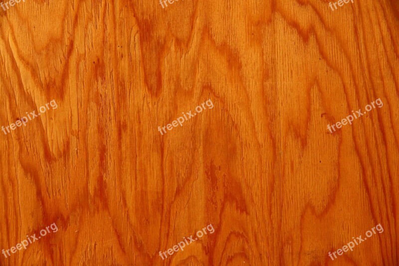 Tree Texture Background Plywood Wood Texture