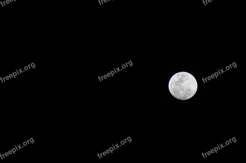 Moon Night Sky White Moon Full Moon