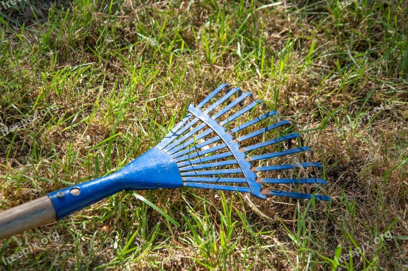 Leaves Broom Raking Leaves Computing Garden Gardening