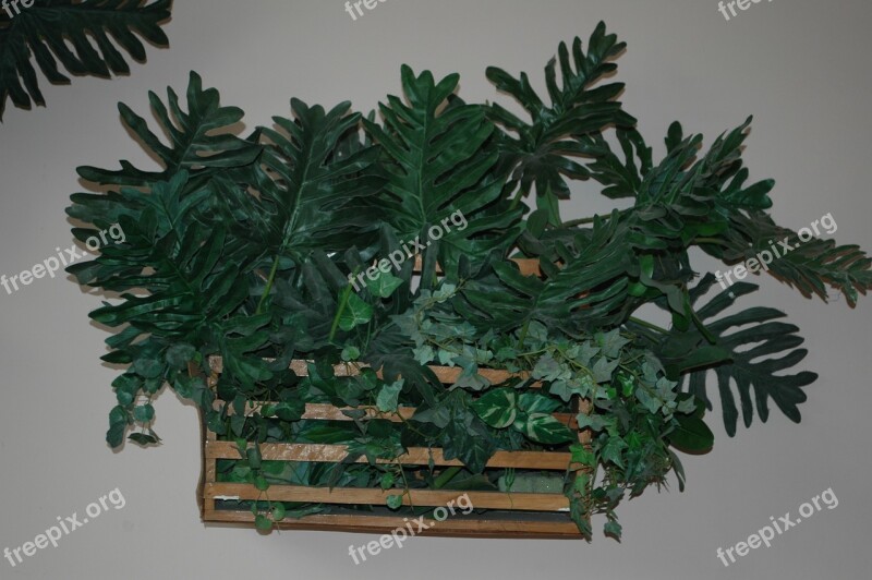 Vegetation Artificial Decoration Ecology Inside