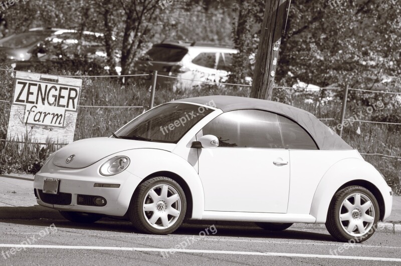 Car Back And White Vehicle Transport Auto