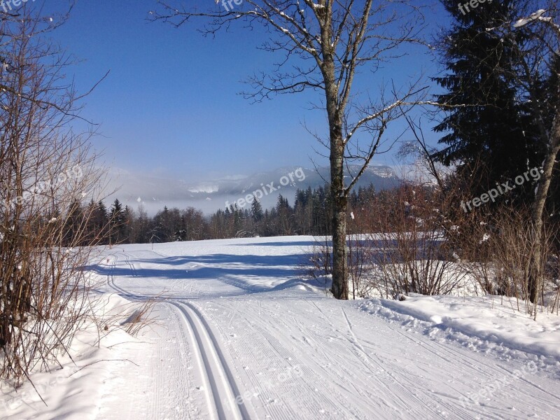 Cross Country Skiing Trail Winter Free Photos