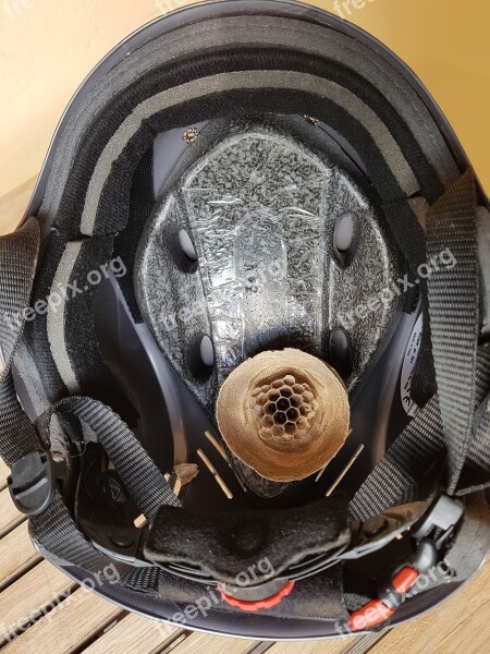 Climbing Helmet Hornissennest Nest Honeycomb Hexagon