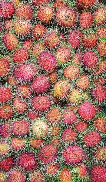 Rambutan Fruit Marketplace Tropical Thailand