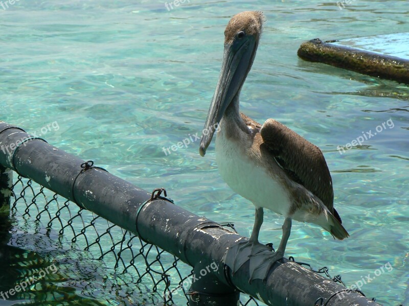 Cartagena Colombia Sea Aquarium Island