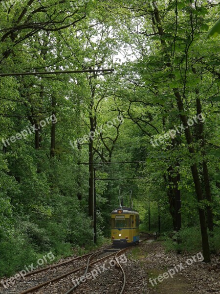 Tram Rahnsdorf Woltersdorf Nostalgic Transport