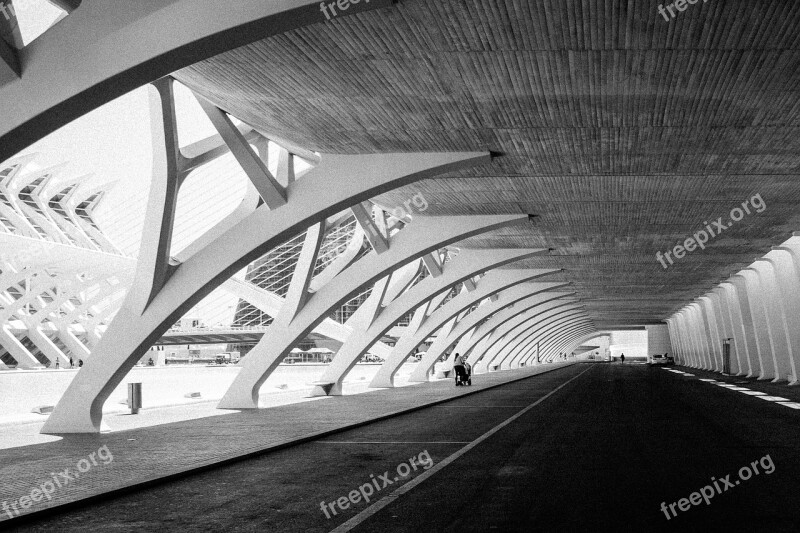 Calatrava Valencia Arts And Sciences Free Photos