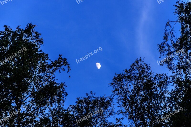 Moon Sky Half Moon Darkness Lighting