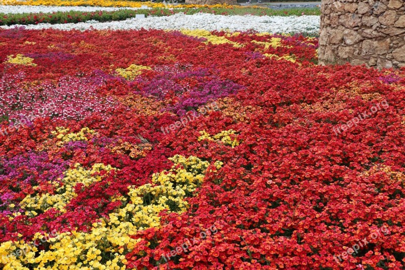 Liguria Italy Summer Spring Colors