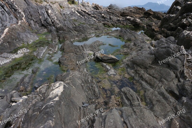 Sea Rocks Waves Italy Liguria