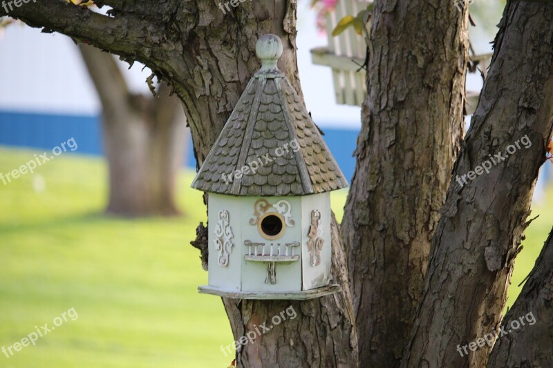 Birdhouse Birds Tree Garden Spring