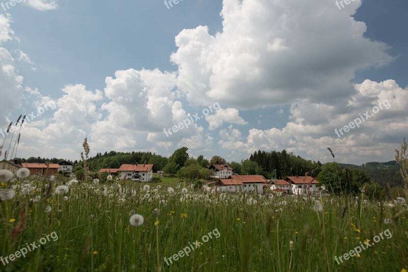 Neuschönau Germany Bavaria Region Landscape