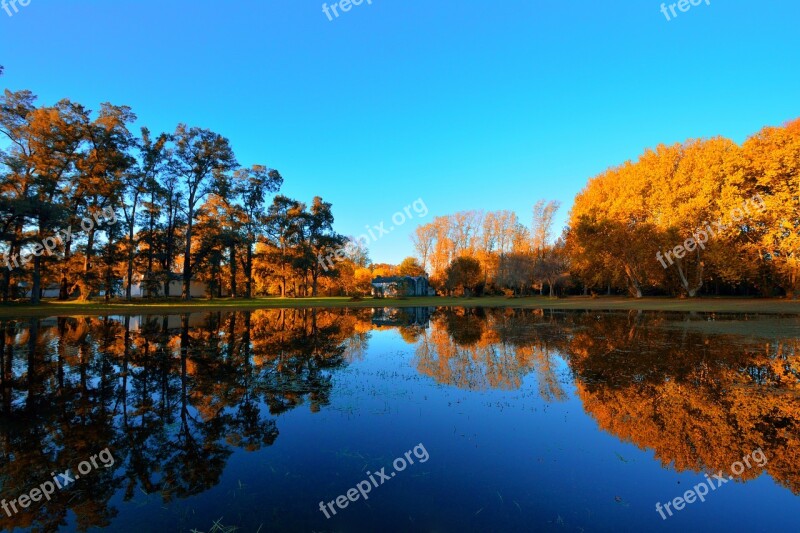 Landscape Autumn Reflection Nature Trees