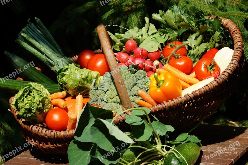 Vegetables Vitamins Vegetable Basket Colorful Vegetable Healthy