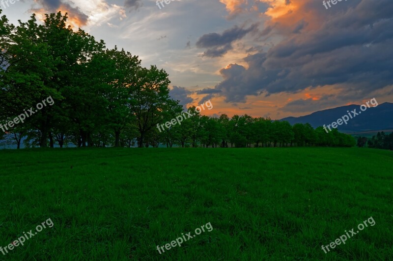 Sunset Meadow Grass Green The Sky