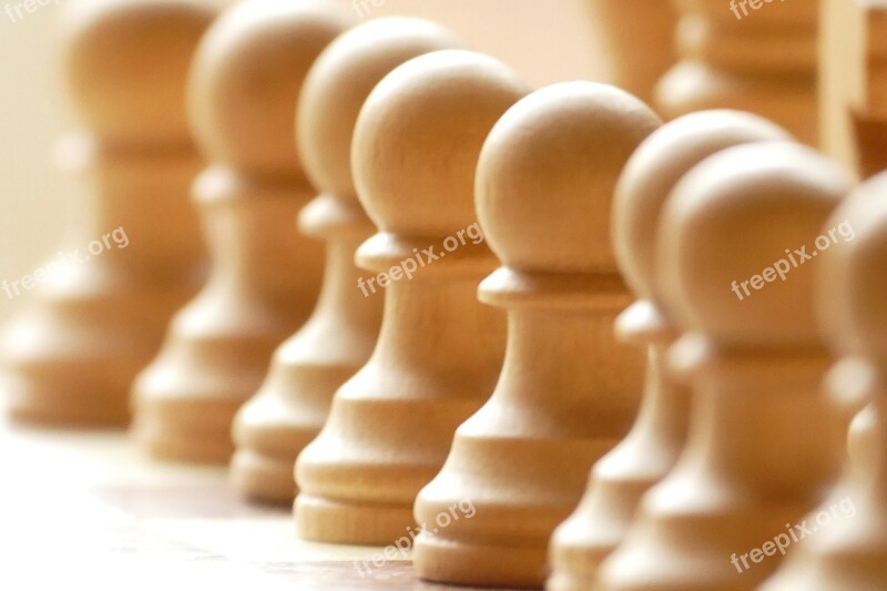 Pawn Chess Board Game Chess Game Chess Pieces