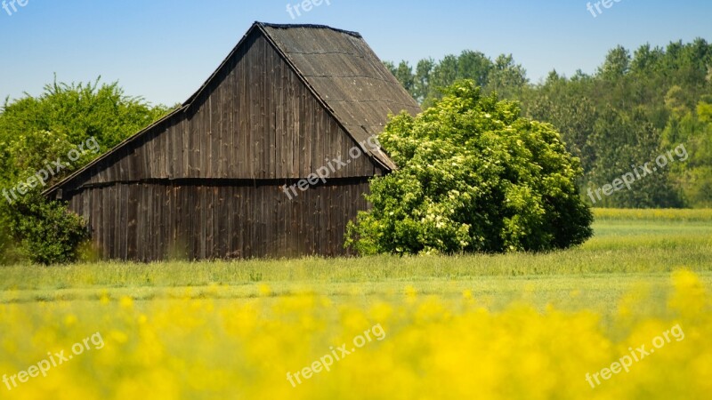 Shed Barn Old House Cottage Wooden Cottage