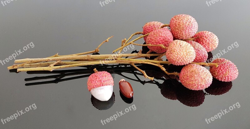 Lychee Litchi Nut Tree Soapberry Family Healthy