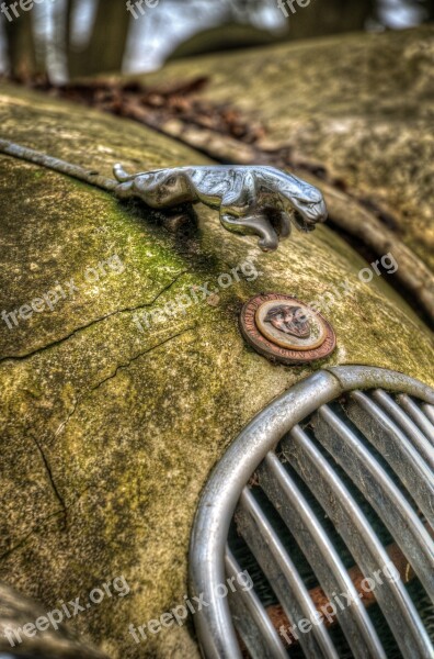 Jag Old Car Rotten Rusty Vehicle