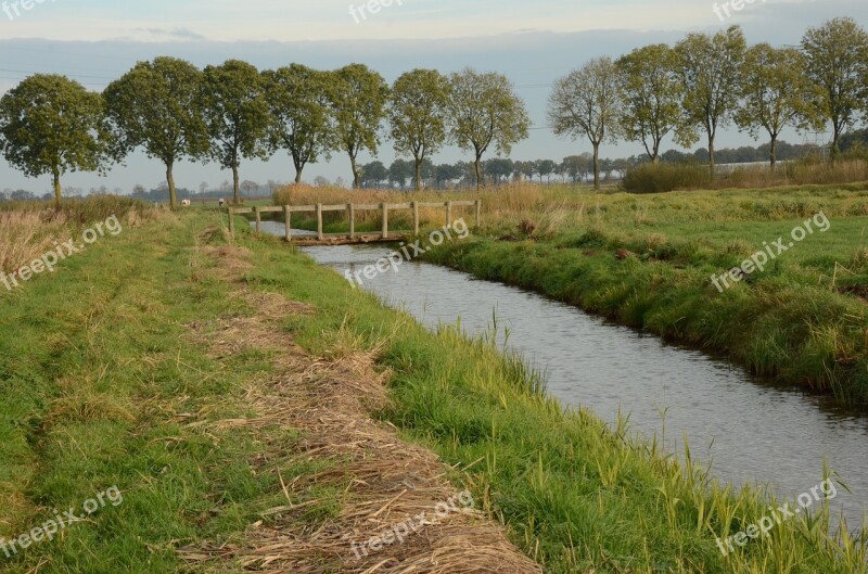 Ditch Nature Reserve The Birch Free Photos