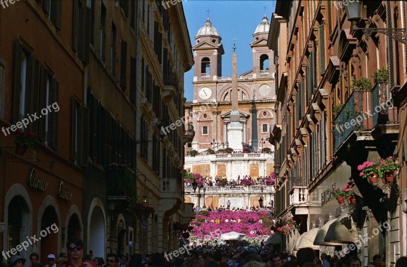 People City Flower Roma Italy