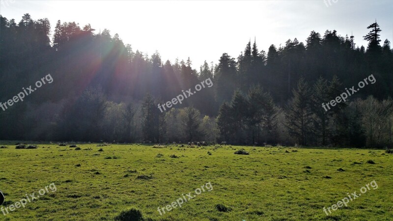 Grass Plain Sunset Landscape Free Photos