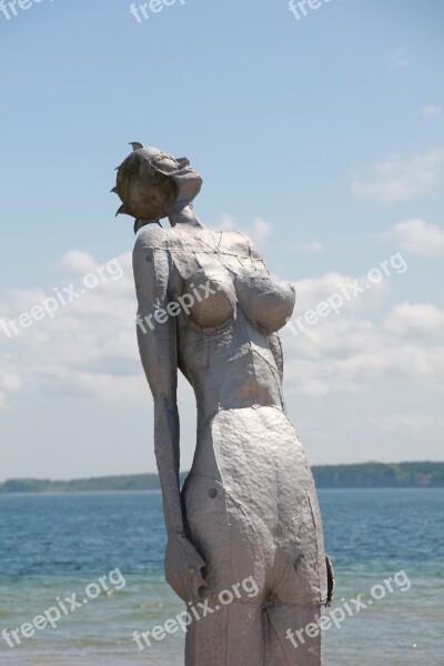 Figure Eckernförde Baltic Sea Water Sea