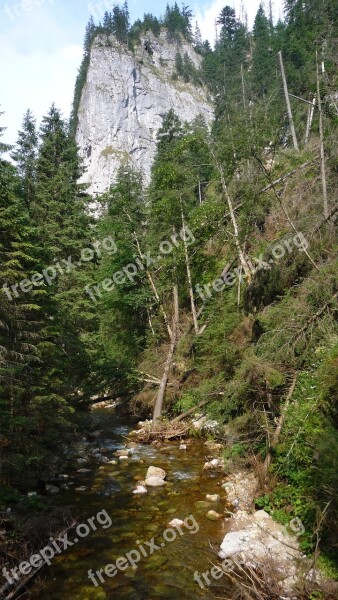 Tatry Poland Mountains Landscape Nature