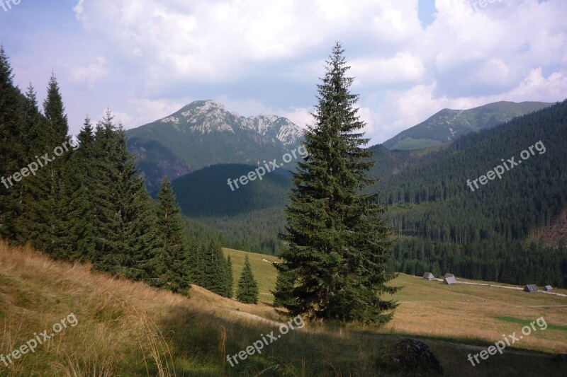 Tatry Poland Mountains Landscape Nature