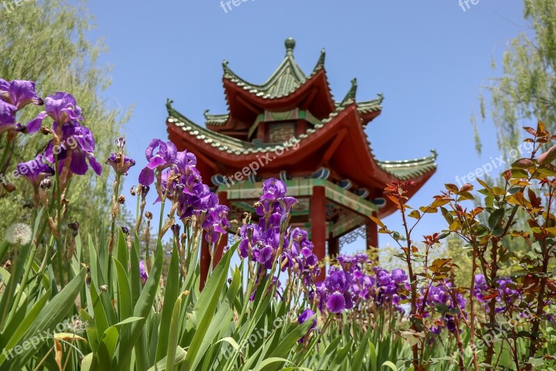 Chinese Building Flowers Garden Architecture Traditional