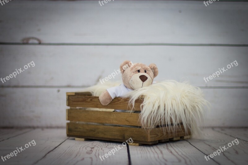 Teddy Box Inside Wood Snowman