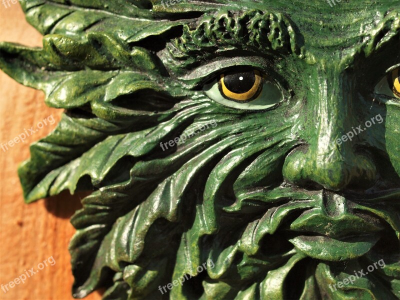 Green Man Ornament Garden Face Free Photos