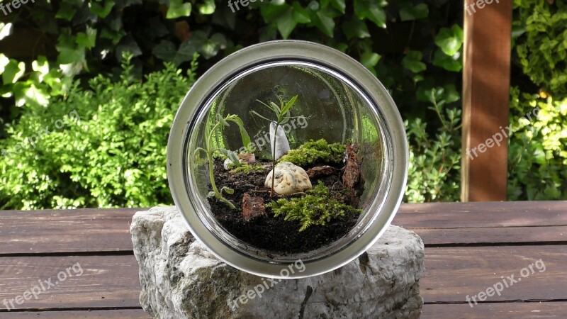 Terrarium Biosphere Habitat Free Photos