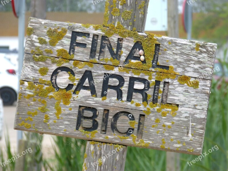 Poster Bike Path Wood Old Lichen