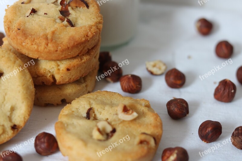 Hazelnut Sandblasted Cookie Cake Dried Fruit